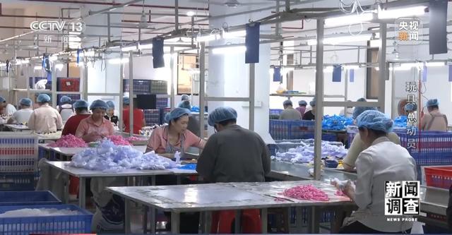 易摩擦 中国玩具外贸企业突出重围九游会·j9网站新闻调查丨应对贸(图17)