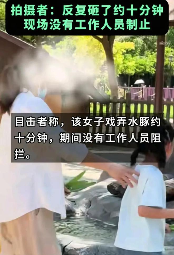 豚头十几分钟园方回应网友气疯。j9国际站女子带娃在动物园砸水(图2)