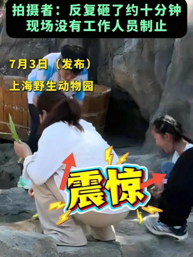 豚头十几分钟园方回应网友气疯。j9国际站女子带娃在动物园砸水