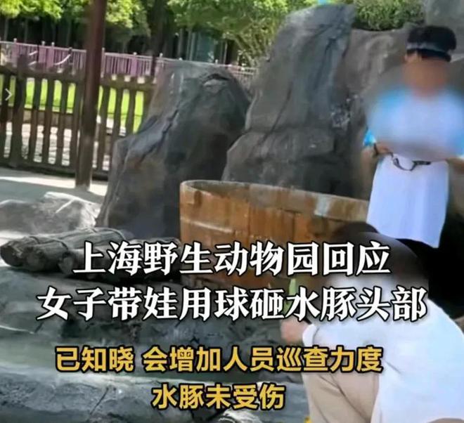豚头十几分钟园方回应网友气疯。j9国际站女子带娃在动物园砸水(图10)
