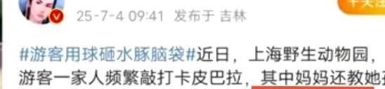 豚头十几分钟园方回应网友气疯。j9国际站女子带娃在动物园砸水(图7)